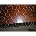 Hot Salepvc Coated / Galvanized Box 2 * 1 * 1 / Gabion Basket Professional Factory